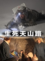 bl高hnp